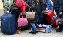 Заробітчанам масово забороняють в’їзд до Польщі через підроблені сертифікати Заробітчанам масово забороняють в’їзд до Польщі через підроблені сертифікати