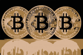Третина всіх Bitcoin перебуває в руках 10 000 інвесторів