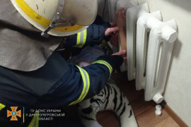 На Днепропетровщине 8-летняя девочка застряла рукой в батарее На Днепропетровщине 8-летняя девочка застряла рукой в батарее