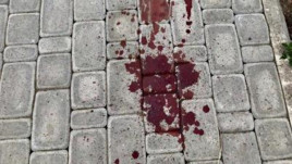 В Кривом Роге психически больной мужчина убил человека В Кривом Роге психически больной мужчина убил человека