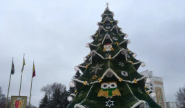 В Каменском новогоднюю елку возьмут в аренду