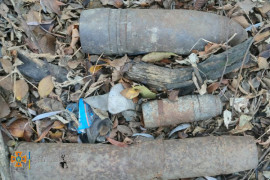 Под Каменским мужчина нашел в лесу устаревшие боеприпасы Под Каменским мужчина нашел в лесу устаревшие боеприпасы