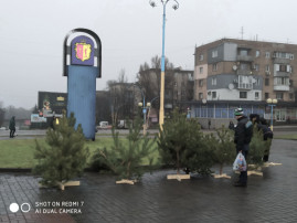 В Каменском открылись елочные базары