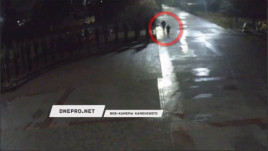 В парке Каменского мужчина напал и избил девушку В парке Каменского мужчина напал и избил девушку