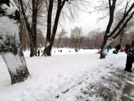 В Днепре в парке Зеленый Гай мужчина погиб, катаясь на санках с ребенком