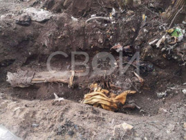 В Днепропетровской области друзья похоронили мужчину на свалке В Днепропетровской области друзья похоронили мужчину на свалке