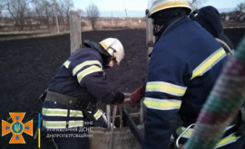 В Каменском районе из колодца достали тело пожилого мужчины В Каменском районе из колодца достали тело пожилого мужчины
