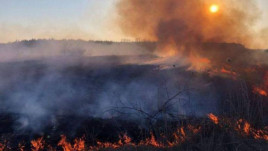 В Днепре и области зафиксировали около 100 пожаров