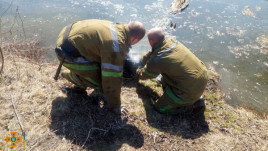 В Днепропетровской области из водоема достали тело женщины В Днепропетровской области из водоема достали тело женщины
