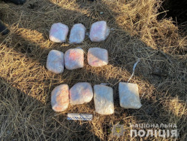 На Днепропетровщине из тайника изъяли психотропов почти на 10 миллионов гривен