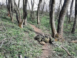 Десантники Днепропетровщины уничтожили пророссийских террористов из самопровозглашенной ДНР (Фото 18+) Десантники Днепропетровщины уничтожили пророссийских террористов из самопровозглашенной ДНР (Фото 18+)