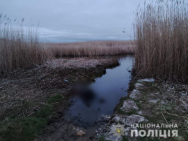 На Днепропетровщине 68-летний пенсионер убил молодого мужчину камнем и скрылся На Днепропетровщине 68-летний пенсионер убил молодого мужчину камнем и скрылся