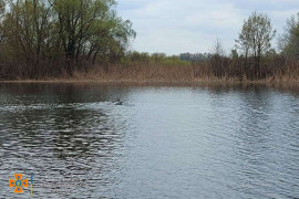 Под Днепром в реке Орель утонул мужчина