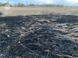"Варта Дніпра" задержала мужчину, который устраивал пожары в городе "Варта Дніпра" задержала мужчину, который устраивал пожары в городе