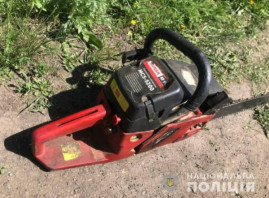 В течение недели полицейские Каменского РУП раскрыли девять краж