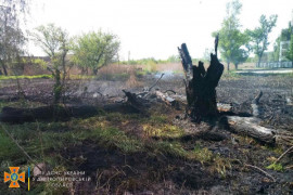 Рятувальники гасили пожежу у Кам'янському: полум'ям була охоплена територія у два гектари