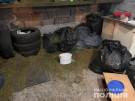 На Днепропетровщине мужчина хранил в гараже каннабис на 7 миллионов гривен