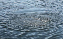 З травня на водоймах Дніпропетровщини загинули 10 людей