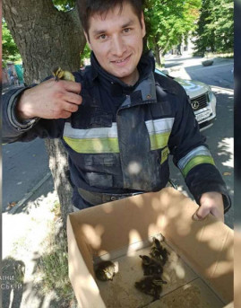 В центре Днепра спасатели доставали утят из ловушки В центре Днепра спасатели доставали утят из ловушки