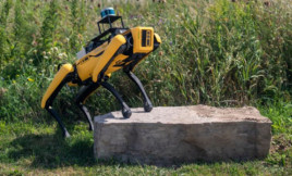 Робот-собака от Boston Dynamics будет искать мины в Украине