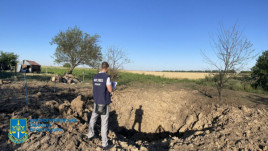 В Криворожском районе оккупанты уничтожили 90 га будущего урожая В Криворожском районе оккупанты уничтожили 90 га будущего урожая