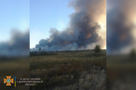 Масштабна пожежа: у Новомосковському районі горить ліс
