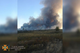 Масштабна пожежа: у Новомосковському районі горить ліс Масштабна пожежа: у Новомосковському районі горить ліс