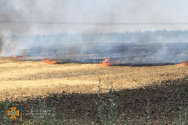 Оккупанты обстреляли Запорожскую область: загорелись пшеничные поля, огонь перекинулся на Днепропетровщину
