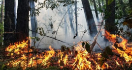 На Дніпропетровщині метеорологи попередили про надзвичайний рівень небезпеки