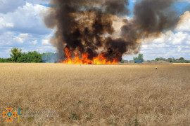 Через обстріл Криворізького району згоріло 50 гектарів пшениці та ріпаку Через обстріл Криворізького району згоріло 50 гектарів пшениці та ріпаку
