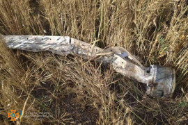 Піротехники ДСНС зібрали небезпечний "врожай" з ворожих снарядів на полях двох районів Дніпропетровщини (ФОТО) Піротехники ДСНС зібрали небезпечний "врожай" з ворожих снарядів на полях двох районів Дніпропетровщини (ФОТО)