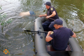 У ставку на Дніпропетровщині потонув чоловік