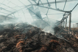 Руйнівний «руській мір»: голова ДніпроОВА показав, як виглядає агропід приємство після «прильоту» ворожих ракет