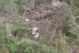 На Дніпропетровщині піротехніками ДСНС за добу знищено 51 одиницю боєприпасів На Дніпропетровщині піротехніками ДСНС за добу знищено 51 одиницю боєприпасів
