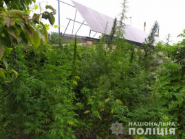У Кам'янському районі у наркоторгівця вилучили боєприпаси та набої У Кам'янському районі у наркоторгівця вилучили боєприпаси та набої