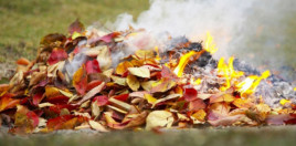 Мешканцям Дніпропетровщини нагадали про заборону випалювання сухостою та опалого листя