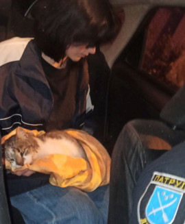 На Дніпропетровщині патрульні із підлітками врятували кішку: фото