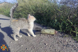 На Дніпропетровщині піротехніки ДСНС знищили 2 застарілих та 6 сучасних боєприпасів На Дніпропетровщині піротехніки ДСНС знищили 2 застарілих та 6 сучасних боєприпасів