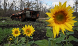 ЗСУ знищили ще 370 окупантів та ворожий літак: названо нові втрати росії ЗСУ знищили ще 370 окупантів та ворожий літак: названо нові втрати росії