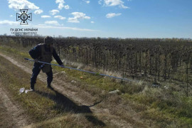 Піротехніки Дніпропетровщини знищили 31 одиницю сучасних протипіхотних фугасних мін Піротехніки Дніпропетровщини знищили 31 одиницю сучасних протипіхотних фугасних мін