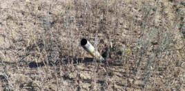 Понад 100 боєприпасів за день: надзвичайники Дніпропетровщини продовжують знешкоджувати ворожі снаряди Понад 100 боєприпасів за день: надзвичайники Дніпропетровщини продовжують знешкоджувати ворожі снаряди