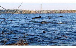 У Дніпрі впав рівень води у річці, через що сплив старий закинутий пароплав (фото) У Дніпрі впав рівень води у річці, через що сплив старий закинутий пароплав (фото)
