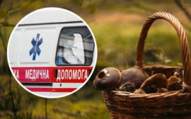 За тиждень троє дітей отруїлись грибами у Криворізькому районі