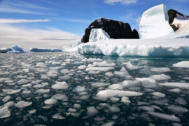 Ученые зафиксировали в Антарктике рекордно высокую температуру