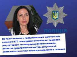 На заммэра Каменского Колисниченко написали заявление в полицию