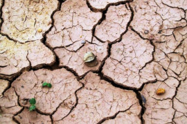 Из-за теплой зимы украинцам впервые за 120 лет могут ограничить право на воду Из-за теплой зимы украинцам впервые за 120 лет могут ограничить право на воду