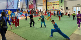 Юні спортсмени Дніпропетровщини вибороли 20 медалей на Чемпіонаті України з ушу