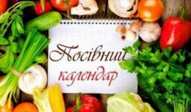 Посівний календар на квітень. В які дні краще садити, щоб мати гарний врожай Посівний календар на квітень. В які дні краще садити, щоб мати гарний врожай