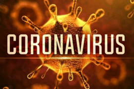 МОЗ опубликовал возрастную статистику инфицированных коронавирусом