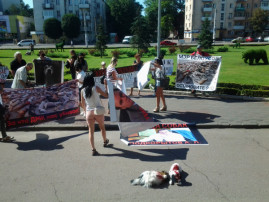 Пикет в защиту животных провели активисты в Каменском